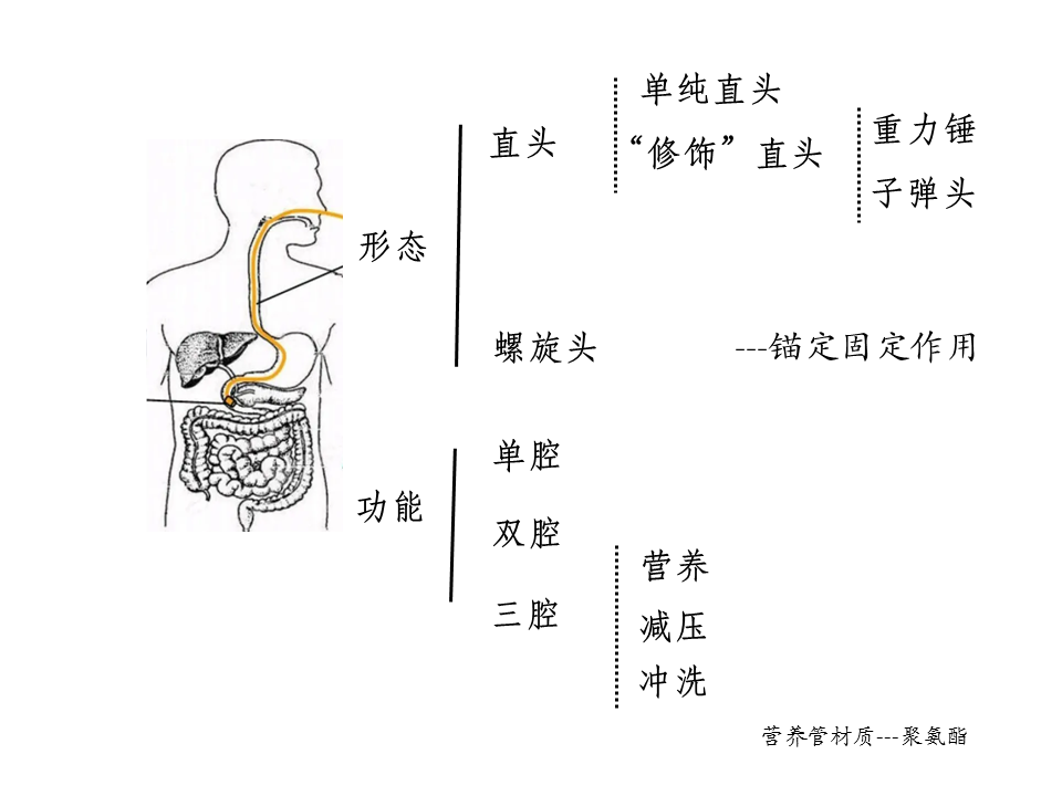 营养管测试仪